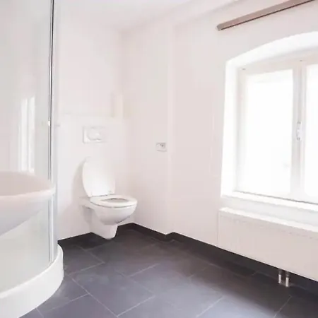Authentic Austrian Flat In The South Of Vienna 公寓 *