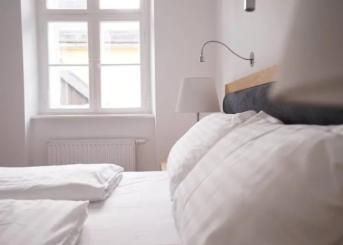 Authentic Austrian Flat In The South Of Vienna Modling